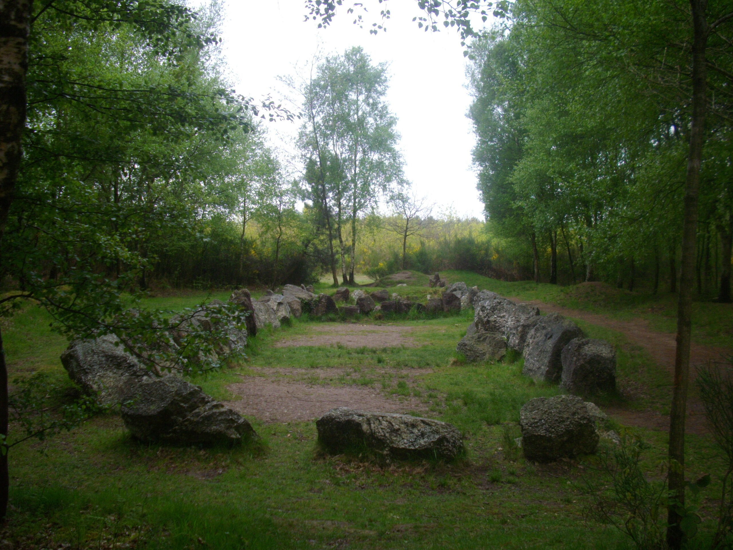 La magica Foresta di Brocéliande: Miti, Storia e Leggende